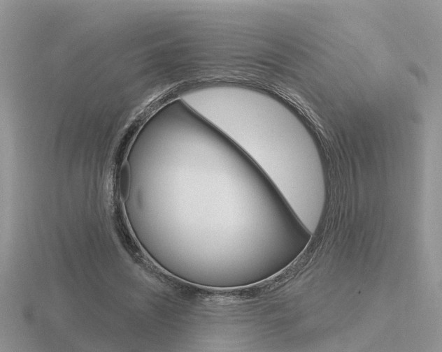 X0000116650444200912141009