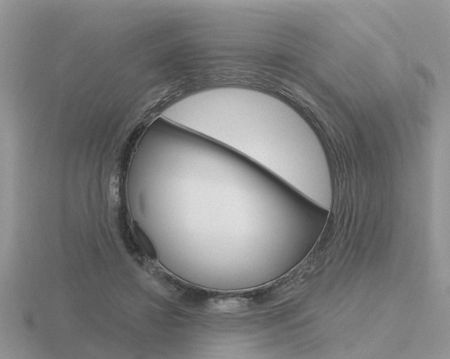 X0000116650452200912141009