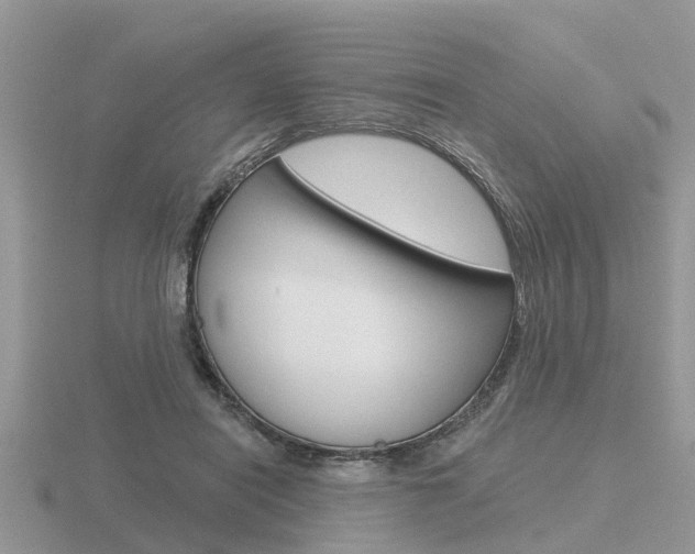 X0000116650454200912141009