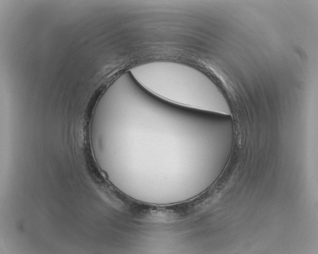 X0000116650455200912141009