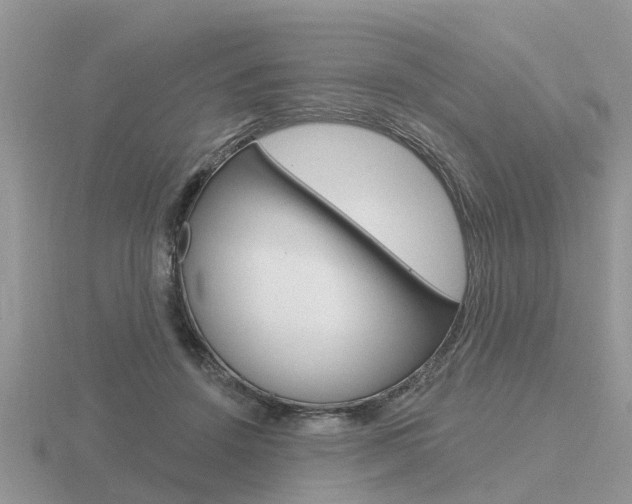 X0000116650456200912141009