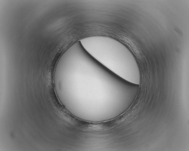 X0000116650457200912141009