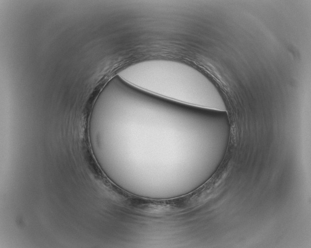 X0000116650458200912141009
