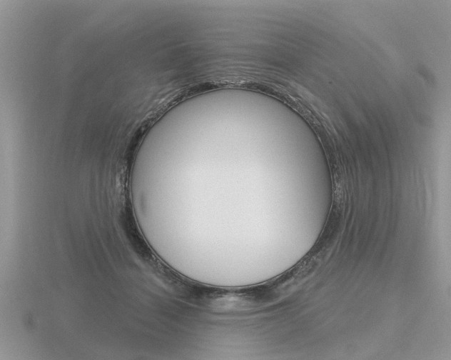 X0000116650460200912141009