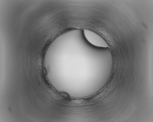 X0000116650461200912141010