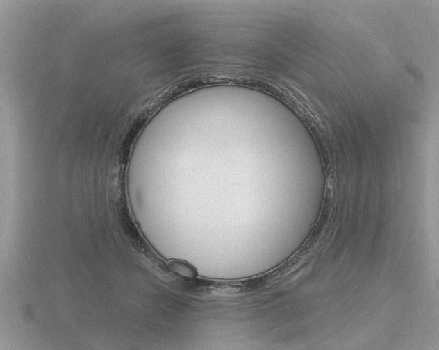 X0000116650462200912141010