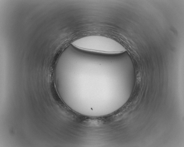 X0000116650464200912141010