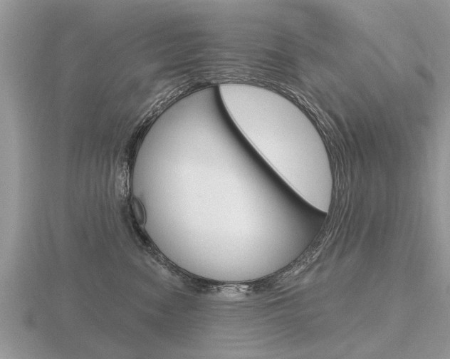X0000116650474200912141010