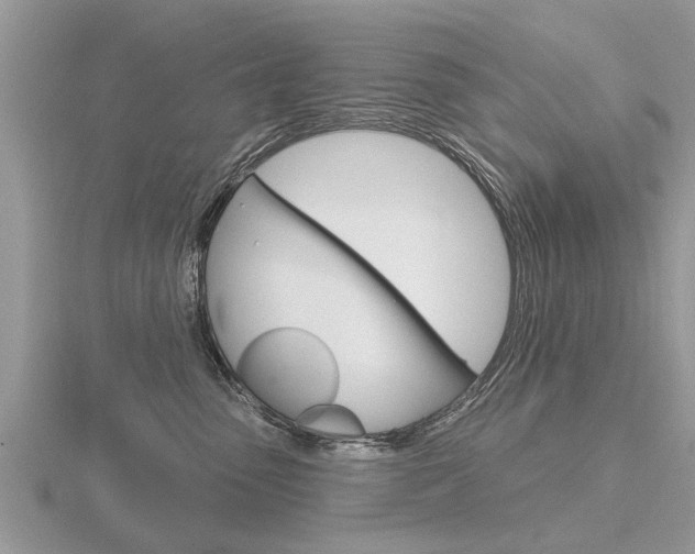 X0000116650475200912141010
