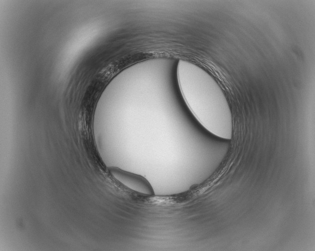 X0000116650477200912141010