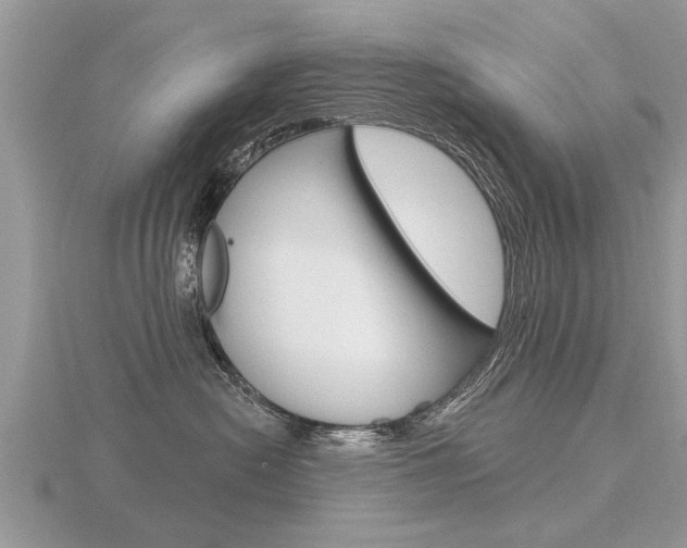 X0000116650478200912141010