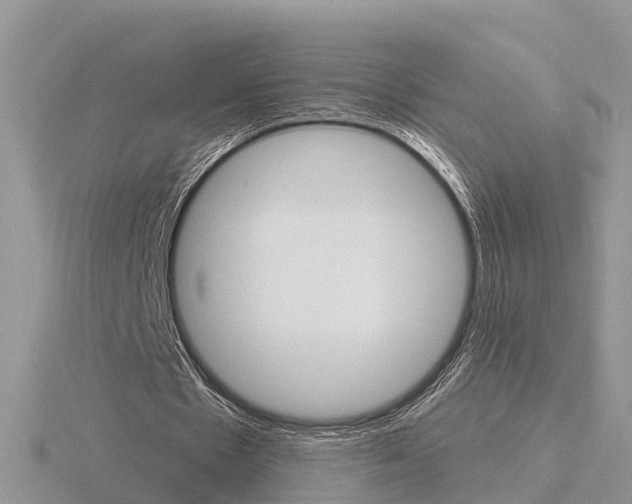 X0000116650481200912141009