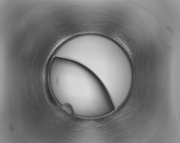 X0000116650483200912141009