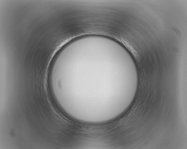 X0000116650488200912141009