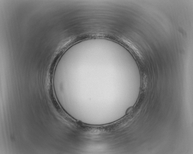 X0000116650494200912141009