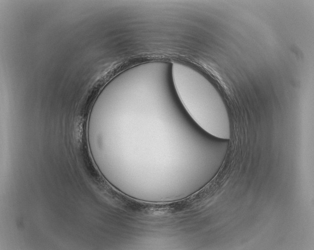 X0000116650495200912141009