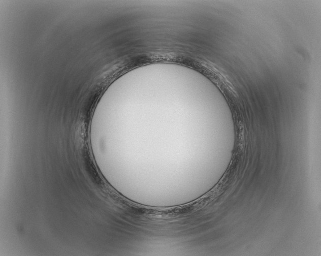 X0000116650498200912141009