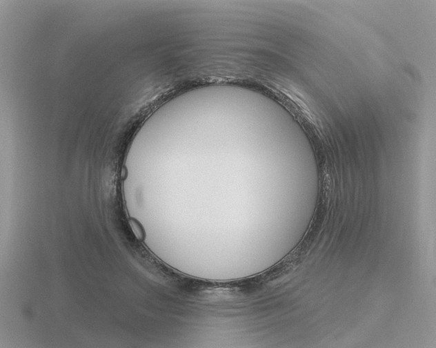 X0000116650499200912141009