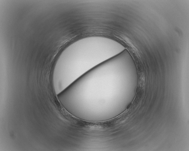 X0000116650500200912141009