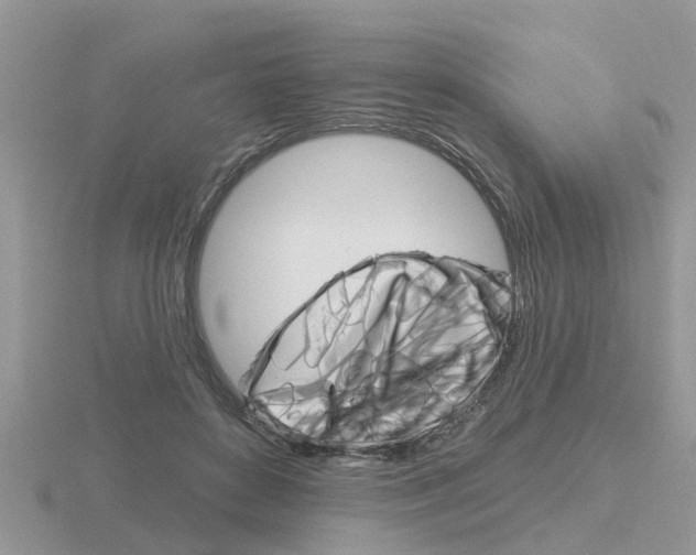 X0000116650504200912141009