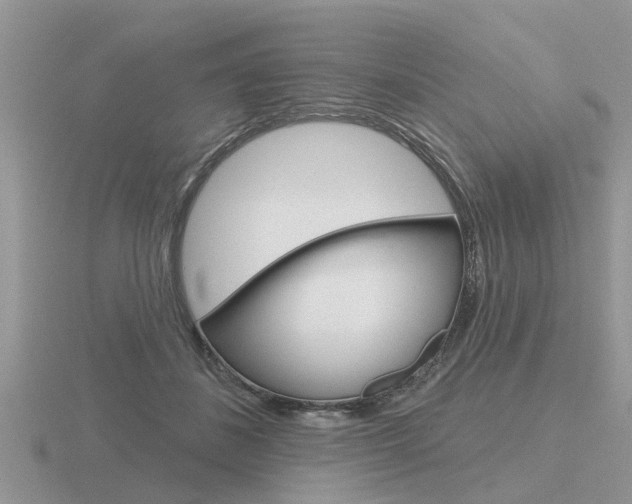 X0000116650508200912141009