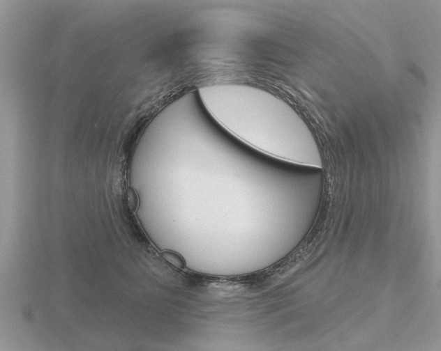 X0000116650515200912141009