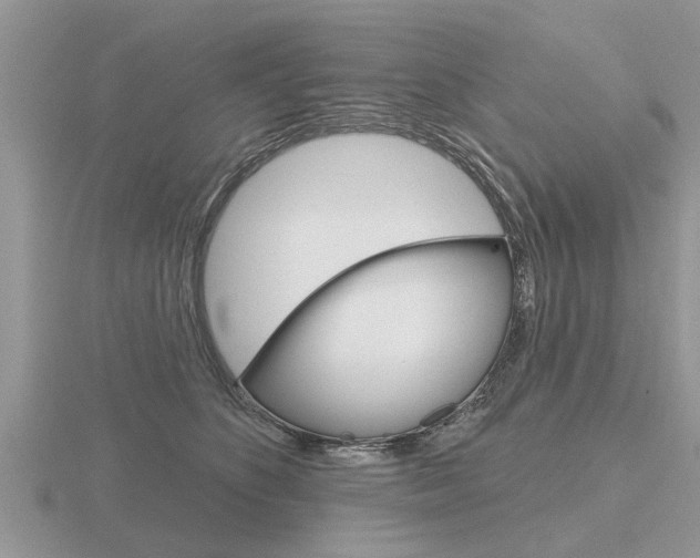 X0000116650516200912141009