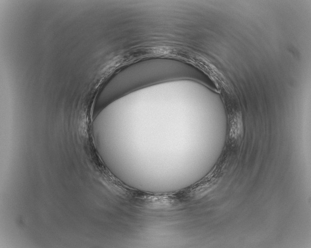 X0000116650524200912141009