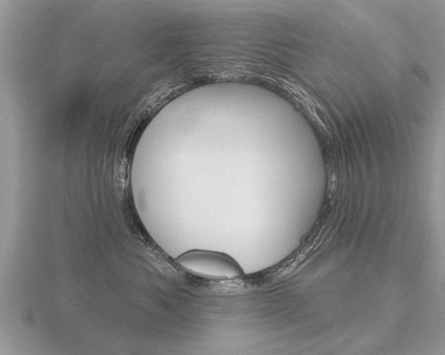 X0000116650525200912141009