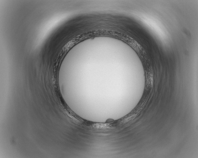 X0000116650526200912141009