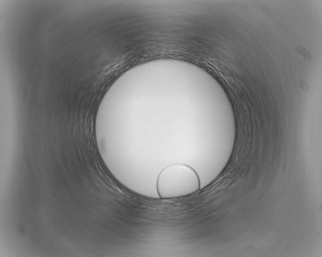 X0000116650528200912141009