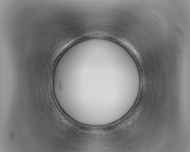 X0000116650529200912141008