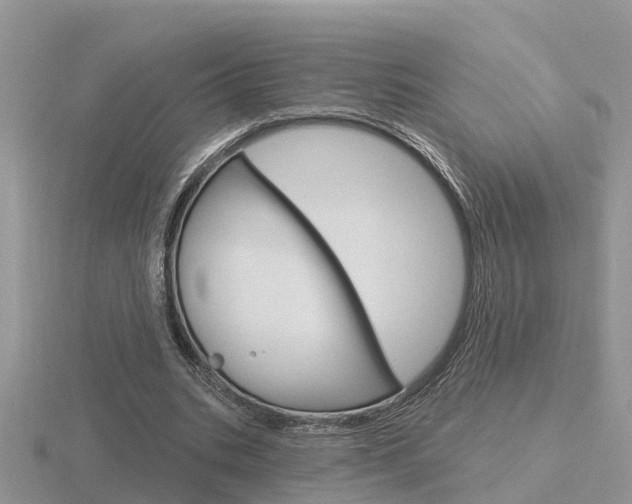 X0000116650535200912141008