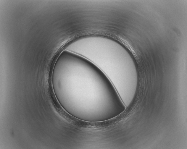 X0000116650538200912141008