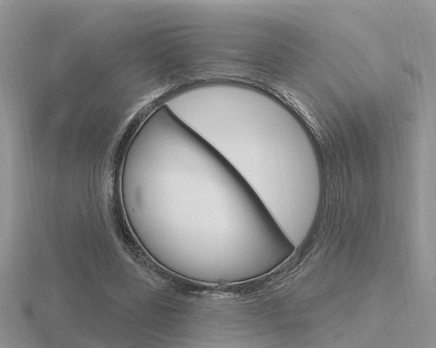 X0000116650539200912141008