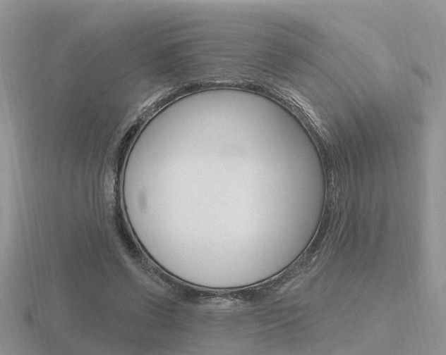 X0000116650542200912141008