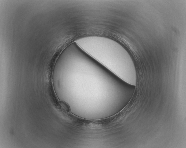 X0000116650546200912141008