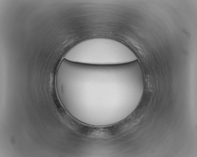 X0000116650550200912141008