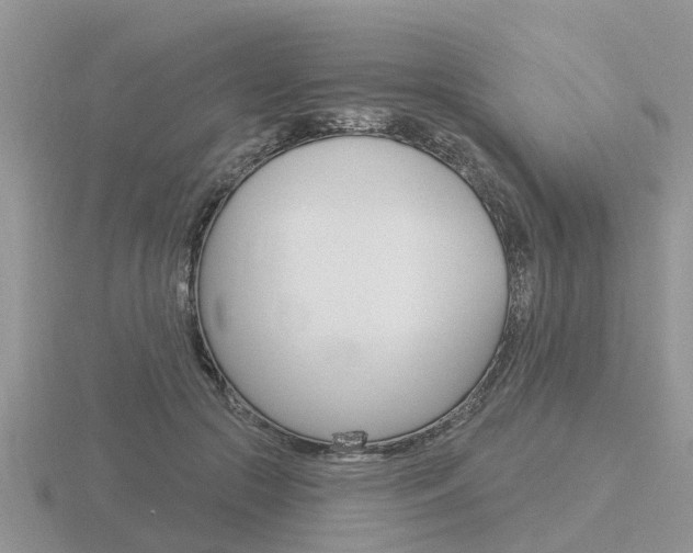 X0000116650553200912141008