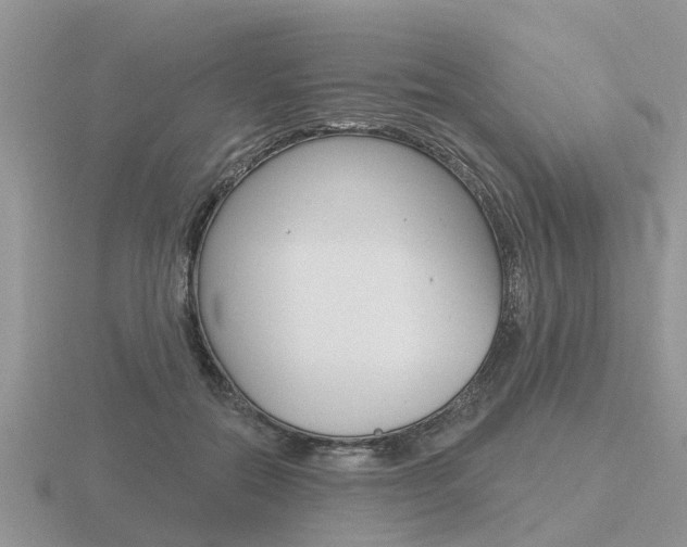 X0000116650554200912141008