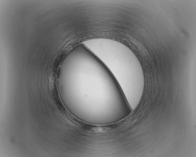 X0000116650558200912141008