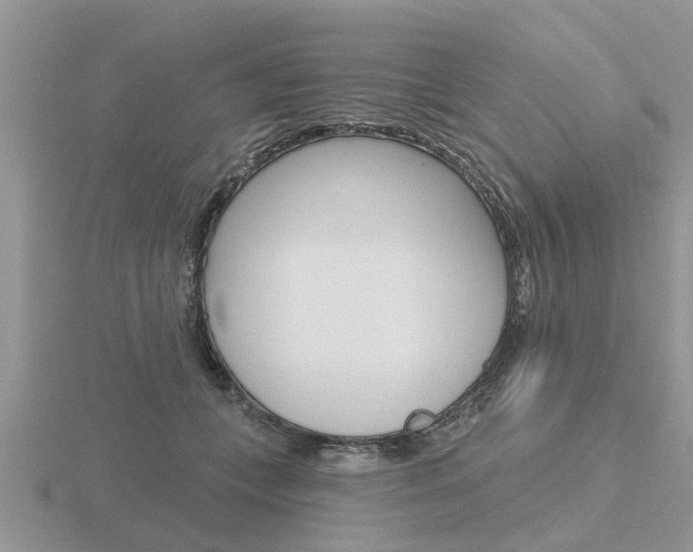 X0000116650559200912141008