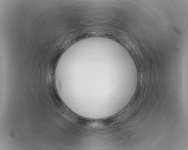 X0000116650561200912141008