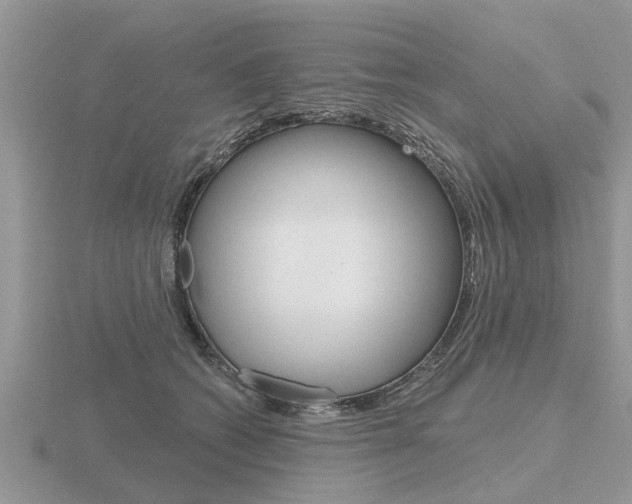 X0000116650562200912141008
