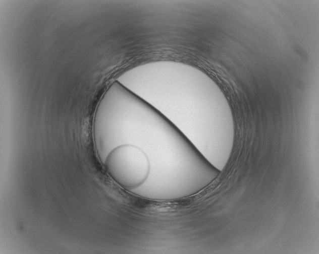 X0000116650563200912141008