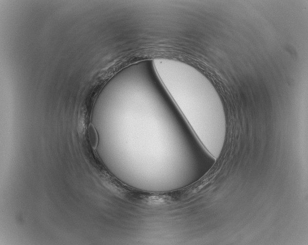 X0000116650566200912141008