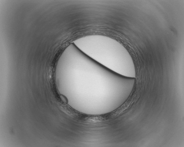 X0000116650567200912141008