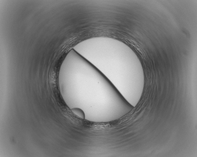 X0000116650571200912141008