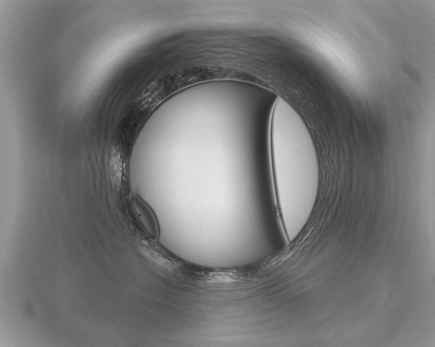 X0000116650574200912141008