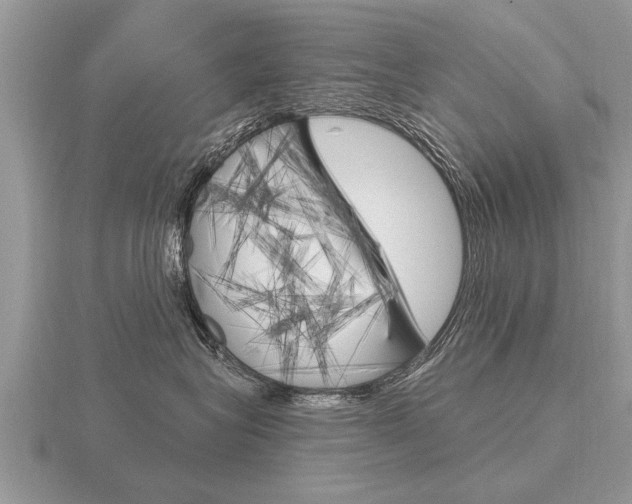 X0000116650575200912141009